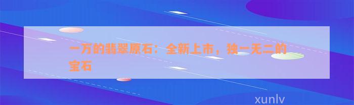 一万的翡翠原石：全新上市，独一无二的宝石