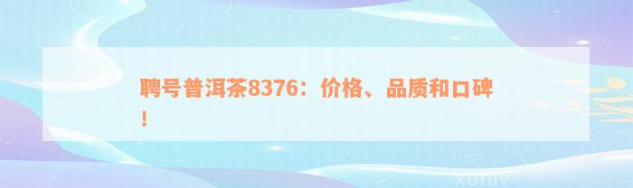 聘号普洱茶8376：价格、品质和口碑！