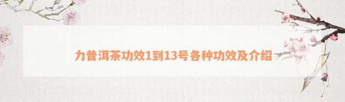 力普洱茶功效1到13号各种功效及介绍