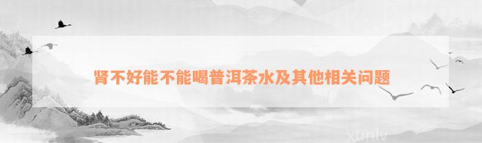 肾不好能不能喝普洱茶水及其他相关问题