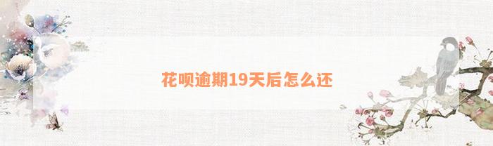 花呗逾期19天后怎么还