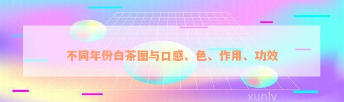 不同年份白茶图与口感、色、作用、功效