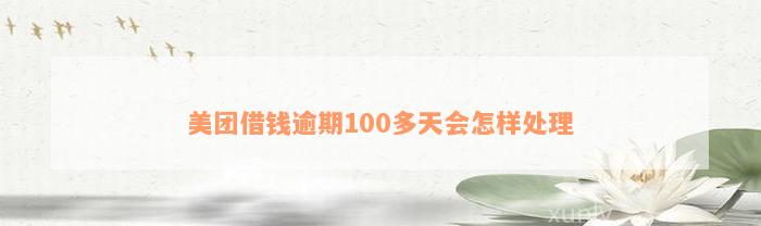 美团借钱逾期100多天会怎样处理