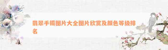 翡翠手镯图片大全图片欣赏及颜色等级排名