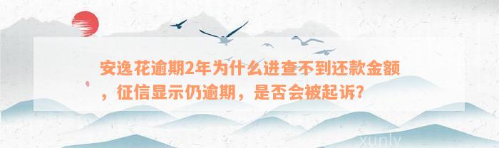 安逸花逾期2年为什么进查不到还款金额，征信显示仍逾期，是否会被起诉？