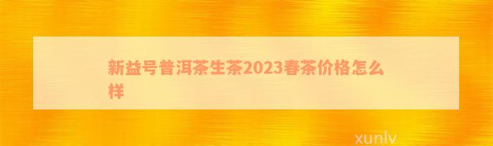 新益号普洱茶生茶2023春茶价格怎么样