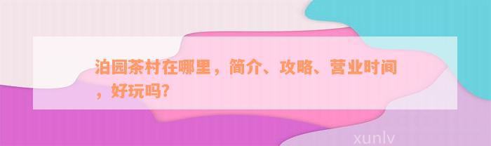 泊园茶村在哪里，简介、攻略、营业时间，好玩吗？