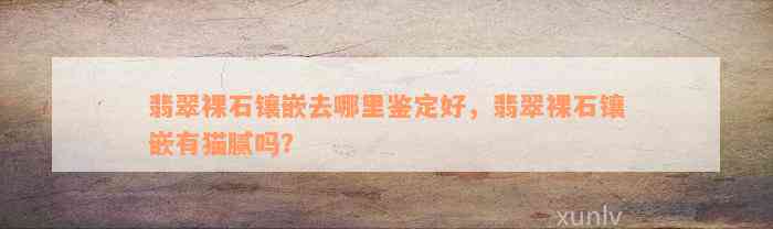 翡翠裸石镶嵌去哪里鉴定好，翡翠裸石镶嵌有猫腻吗？