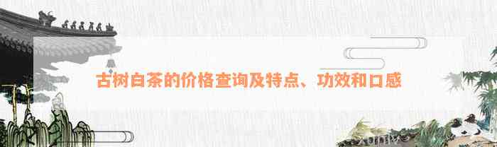 古树白茶的价格查询及特点、功效和口感