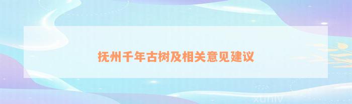 抚州千年古树及相关意见建议