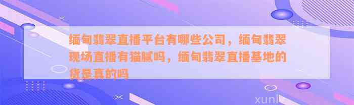 缅甸翡翠直播平台有哪些公司，缅甸翡翠现场直播有猫腻吗，缅甸翡翠直播基地的货是真的吗