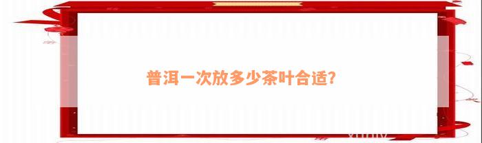 普洱一次放多少茶叶合适？