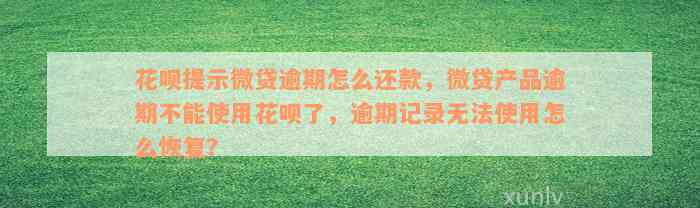 花呗提示微贷逾期怎么还款，微贷产品逾期不能使用花呗了，逾期记录无法使用怎么恢复？