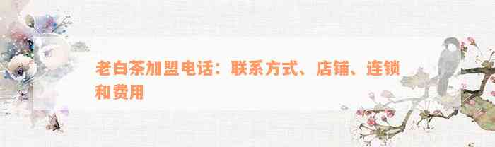 老白茶加盟电话：联系方式、店铺、连锁和费用