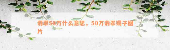 翡翠50万什么意思，50万翡翠镯子图片