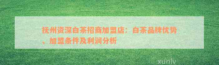 抚州资深白茶招商加盟店：白茶品牌优势、加盟条件及利润分析