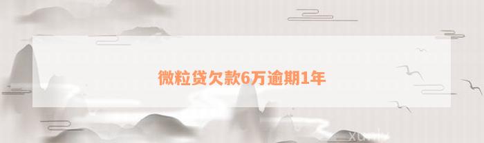 微粒贷欠款6万逾期1年