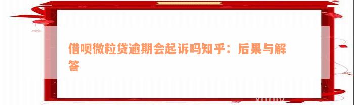 借呗微粒贷逾期会起诉吗知乎：后果与解答