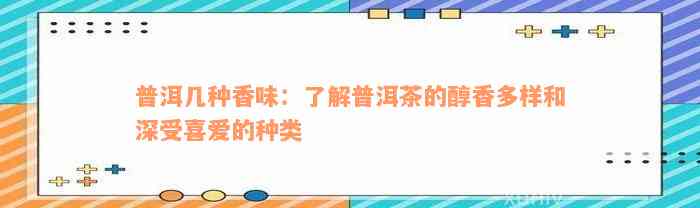 普洱几种香味：了解普洱茶的醇香多样和深受喜爱的种类