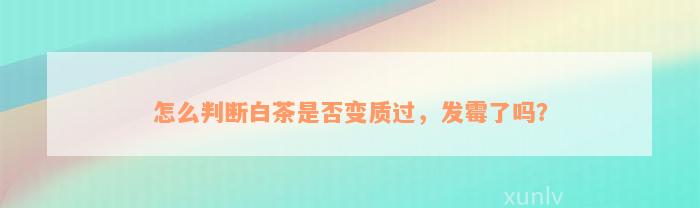 怎么判断白茶是否变质过，发霉了吗？