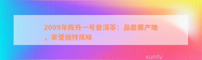 2009年陈升一号普洱茶：品尝原产地，享受独特风味