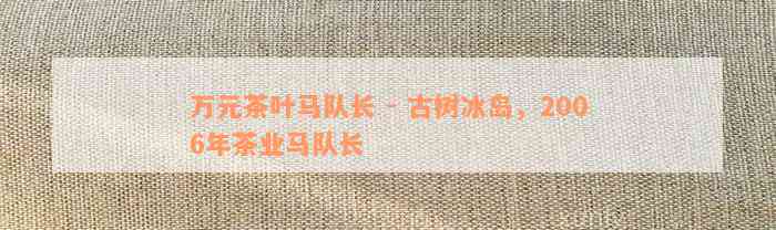 万元茶叶马队长 - 古树冰岛，2006年茶业马队长