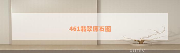 461翡翠原石图