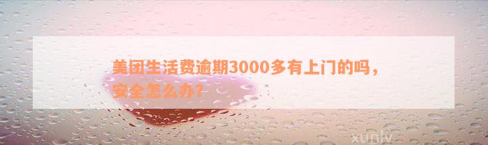 美团生活费逾期3000多有上门的吗，安全怎么办？