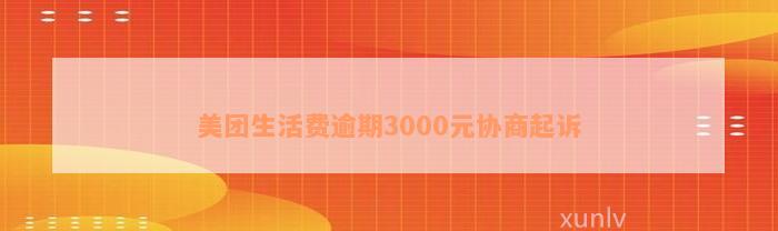 美团生活费逾期3000元协商起诉