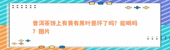 普洱茶饼上有黄有黑叶是坏了吗？能喝吗？图片