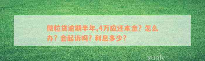 微粒贷逾期半年,4万应还本金? 怎么办? 会起诉吗? 利息多少?