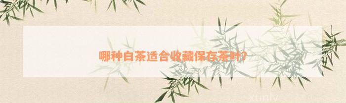 哪种白茶适合收藏保存茶叶？