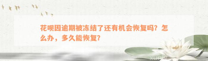 花呗因逾期被冻结了还有机会恢复吗？怎么办，多久能恢复？