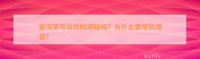 普洱茶可以放防潮箱吗？为什么要用防潮袋？