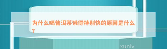 为什么喝普洱茶饿得特别快的原因是什么？