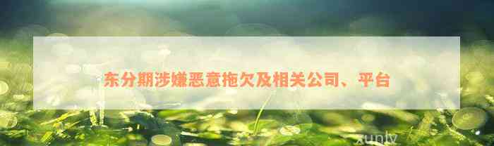 东分期涉嫌恶意拖欠及相关公司、平台