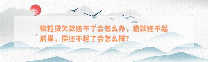 微粒贷欠款还不了会怎么办，借款还不起后果，偿还不起了会怎么样？