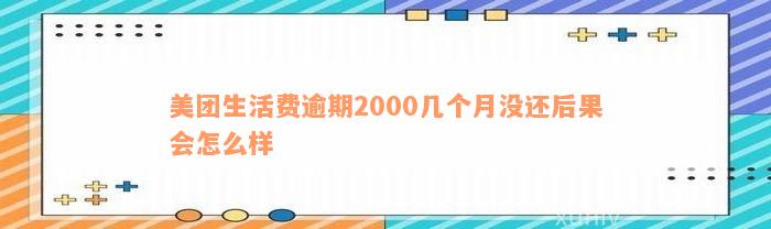 美团生活费逾期2000几个月没还后果会怎么样