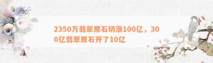 2350万翡翠原石切涨100亿，300亿翡翠原石开了10亿