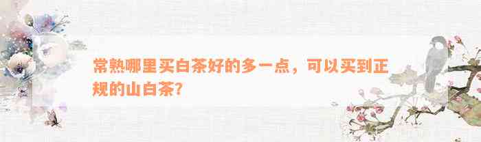 常熟哪里买白茶好的多一点，可以买到正规的山白茶？