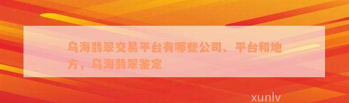 乌海翡翠交易平台有哪些公司、平台和地方，乌海翡翠鉴定