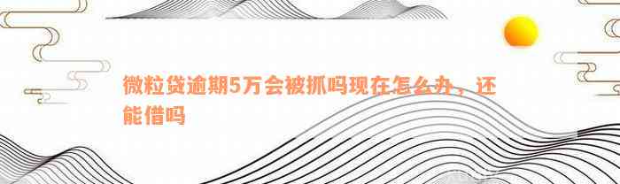 微粒贷逾期5万会被抓吗现在怎么办，还能借吗