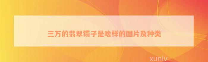 三万的翡翠镯子是啥样的图片及种类