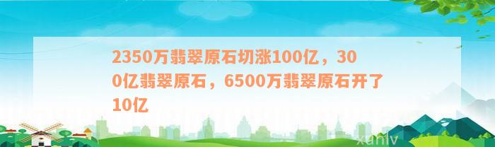 2350万翡翠原石切涨100亿，300亿翡翠原石，6500万翡翠原石开了10亿