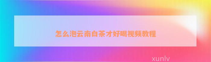 怎么泡云南白茶才好喝视频教程