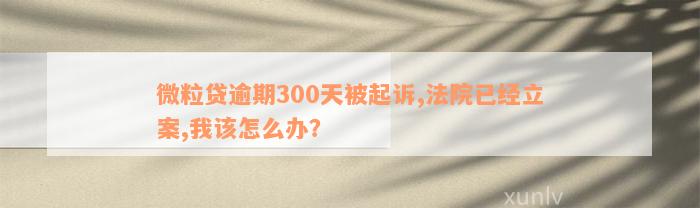 微粒贷逾期300天被起诉,法院已经立案,我该怎么办？