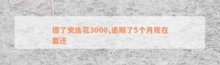 借了安逸花3000,逾期了5个月现在要还