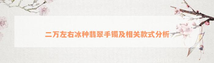 二万左右冰种翡翠手镯及相关款式分析