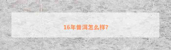 16年普洱怎么样？