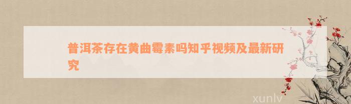 普洱茶存在黄曲霉素吗知乎视频及最新研究